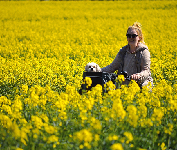 Information Technology